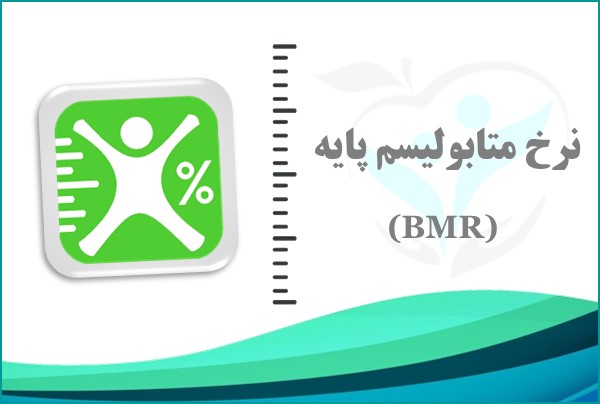 نرخ متابولیسم پایه (BMR)